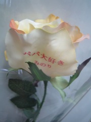 img20080615_4.jpg