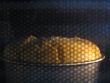 img20090821_3.jpg