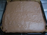 img20081227_3.jpg
