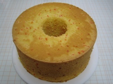 img20090409_8.jpg