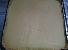 img20090507_2.jpg