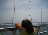 img20060506.jpg