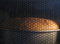 img20090409_5.jpg