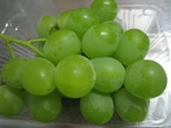 img20080912.jpg