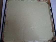 img20090507_1.jpg