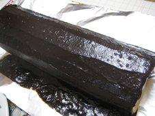 img20090201_2.jpg