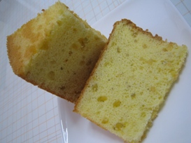 img20090527_7.jpg