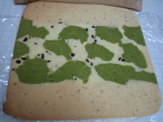 img20080506_1.jpg