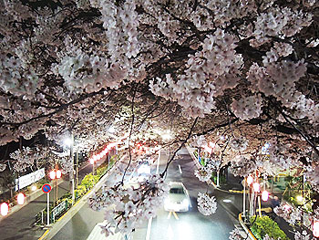 20130327a