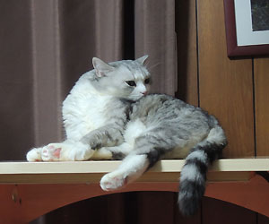 20130425d