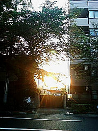 090601