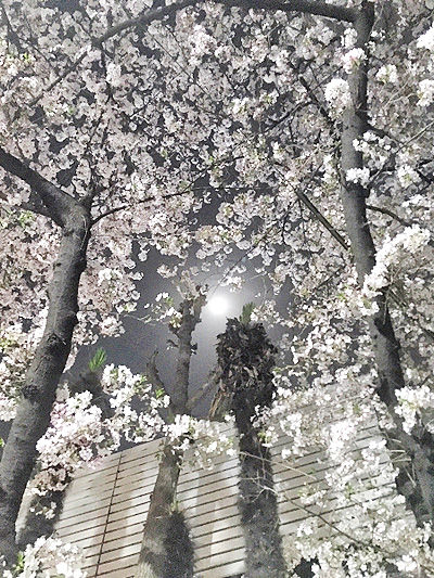 20180414j