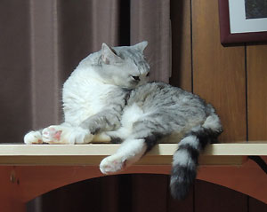 20130425c