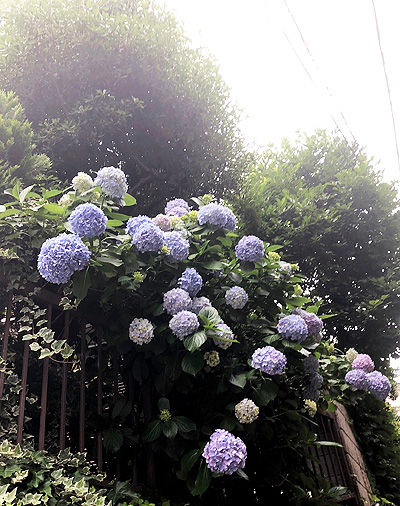 20180613a
