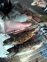 F1001174
