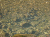 1f5794e2.jpg