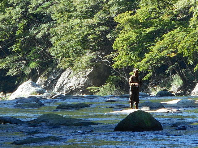 県駐下