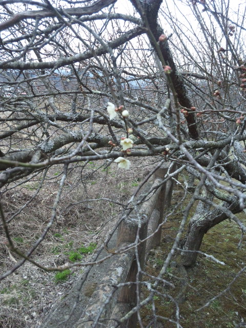 150329_152857