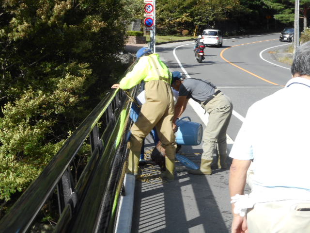 福渡橋下