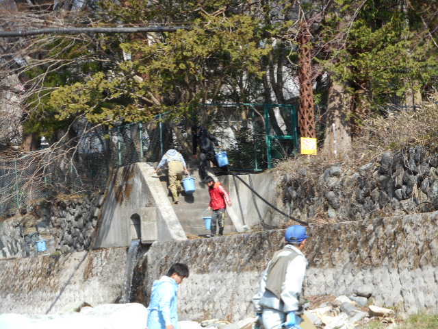 魚運び