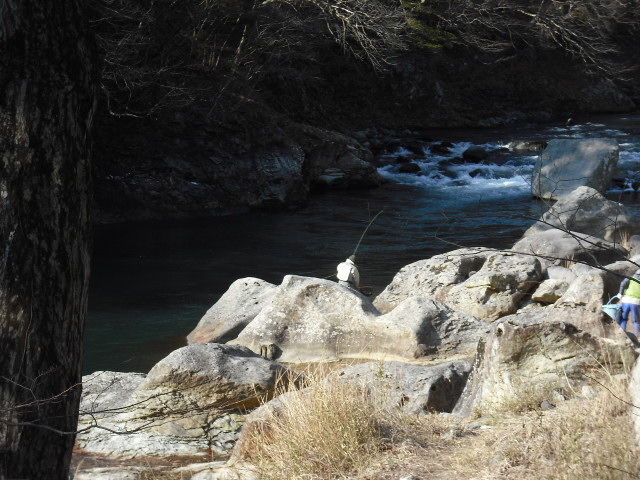 DSCF0570