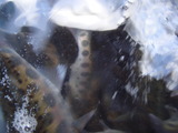 5e1d571e.jpg