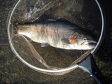 7d95f321.jpg