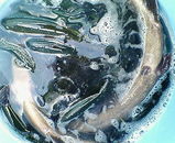 7f2498b3.jpg
