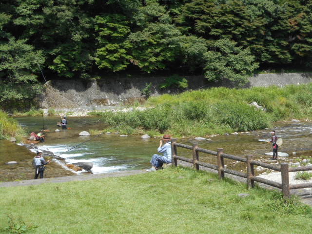 池前鮎釣り