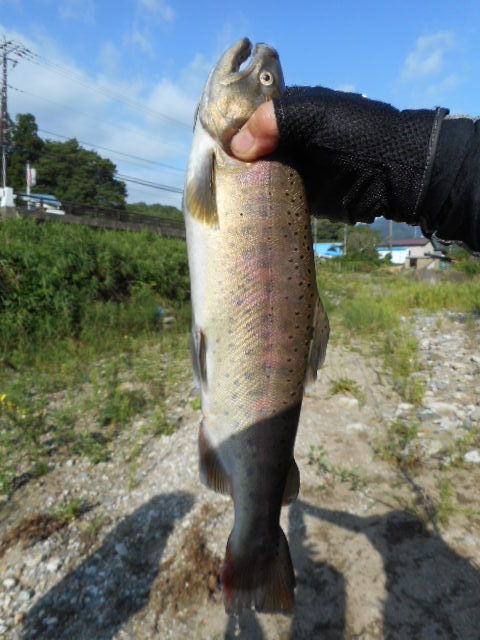 40upえさ
