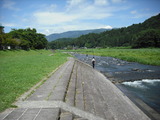 a66a08f5.jpg