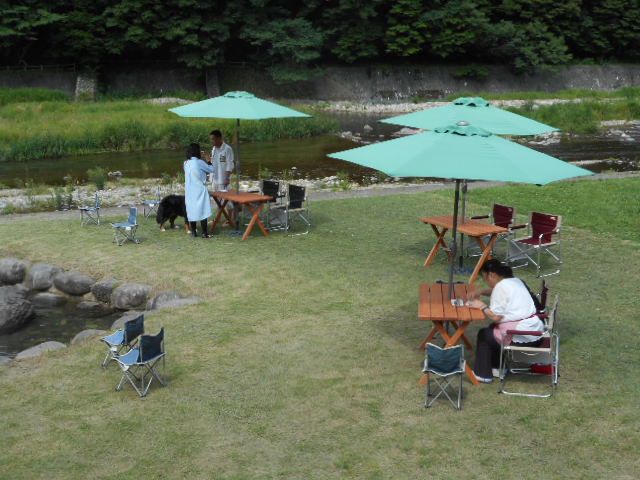 魚の試食