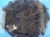 bed6b75c.jpg