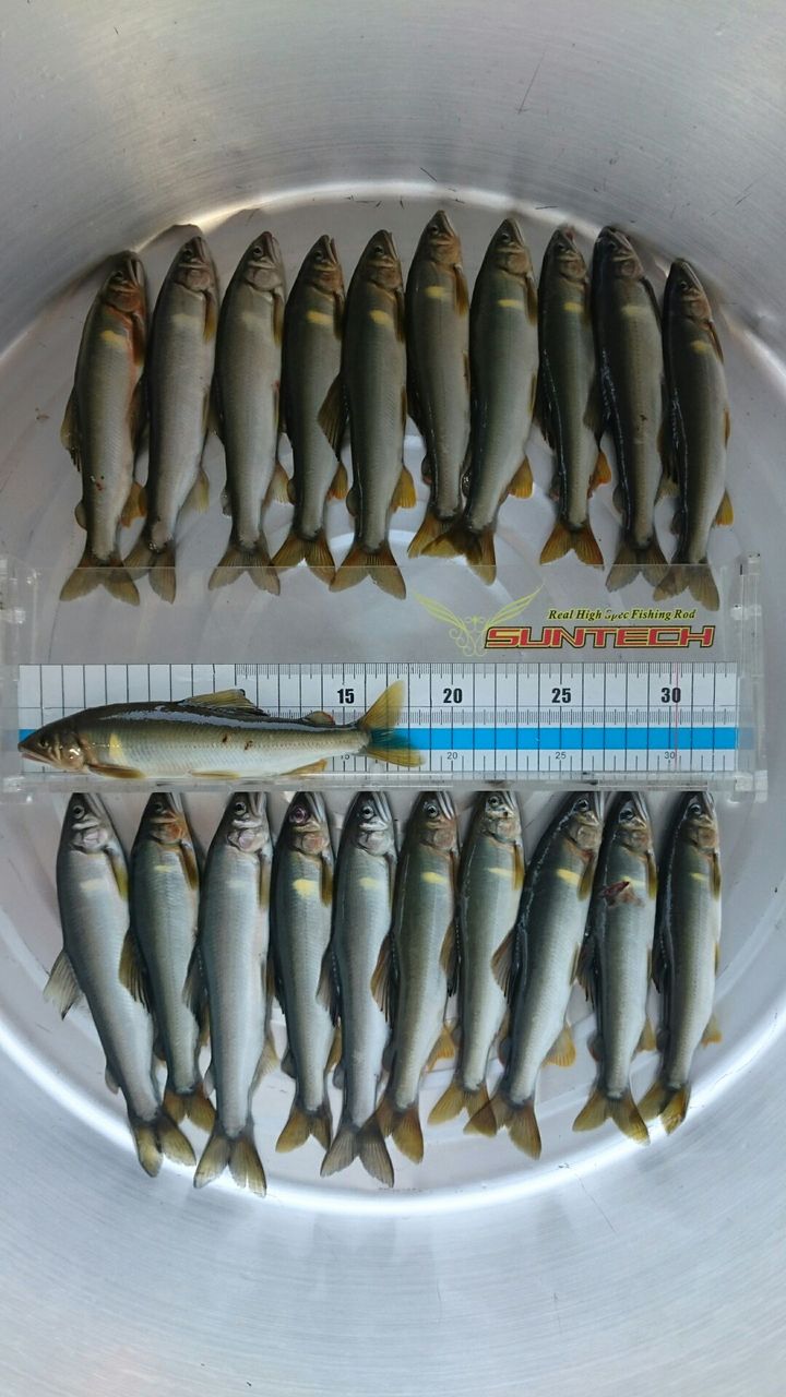 18〜20