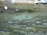 dc7f874f.jpg
