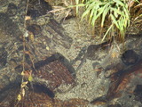 de53a048.jpg