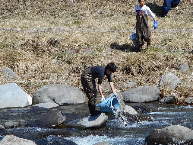 武田上