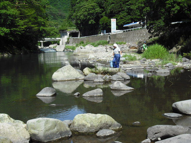放流