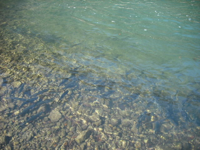 DSCF0577