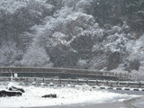 f724905d.jpg