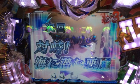S__13213732