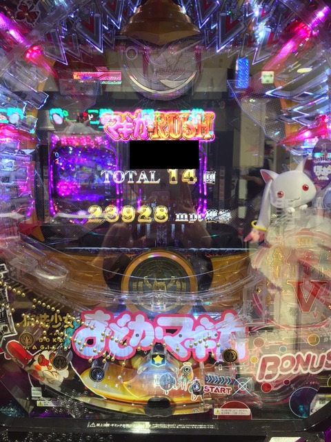 S__13393931