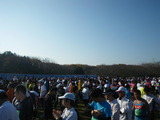 20101128a