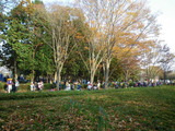 20101128b