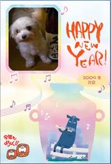 ǯ²ì