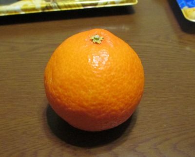 IMG_2736 (400x323)