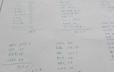 IMG_0187 (400x254)
