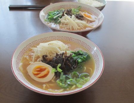 IMG_9476 (450x345)