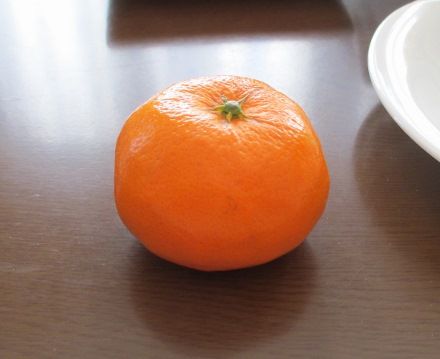 IMG_5852 (440x359)