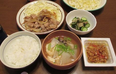 IMG_0719 (460x293)